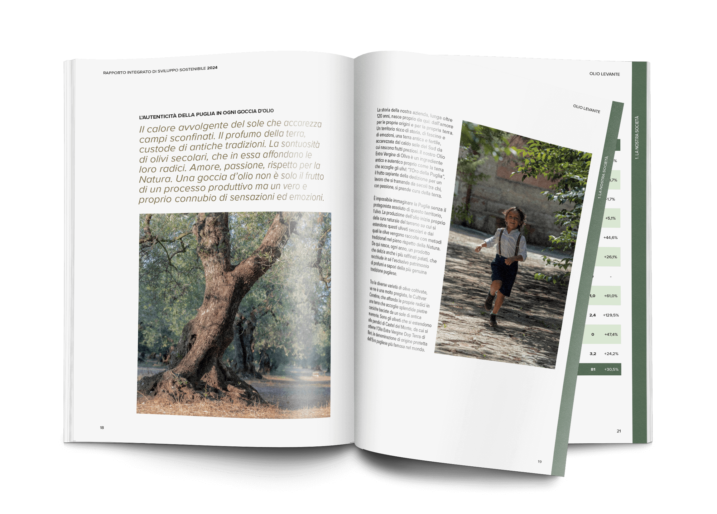 Rapport Intégré de Développement Durable